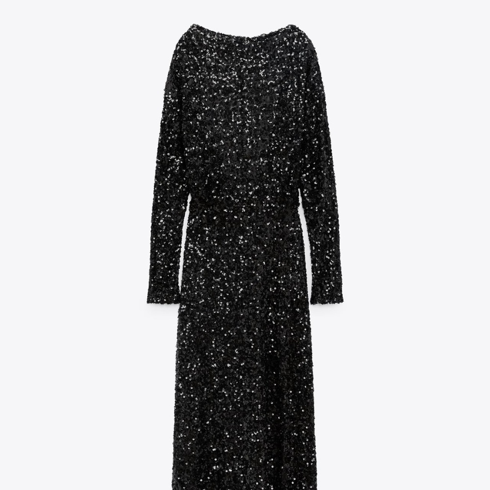 Zara Sequined Dress